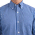 Blue Business Check